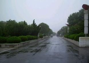 海丽气象吧丨昨夜今晨济宁平均降雨量3.8毫米 最大降雨点46.7毫米