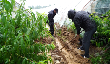 43秒丨雨天請注意農田排澇，威海榮成農業部門積極有效應對強降雨天氣