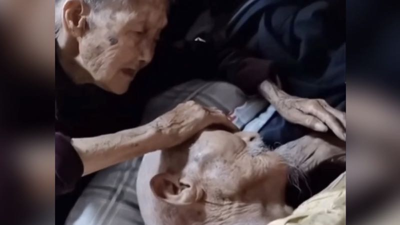 這就是山東｜這是愛情的樣子！98歲爺爺不愿起床 100歲奶奶貼臉陪伴