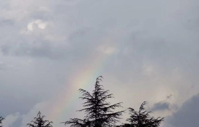 17秒丨暴雨雨过后，临沂城区上空现美丽彩虹，你看到了吗？