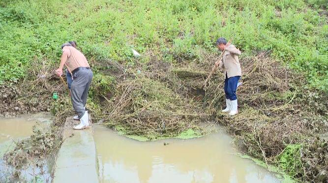 29秒丨部分低洼地块出现内涝，莒县寨里河农户雨后及时排涝