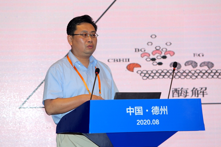2020中国科协年会丨山大教授方诩：生物技术提高产品附加值助力生物经济