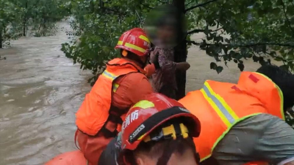 53秒｜临沂暴雨村庄进水严重 4名村民被洪水围困抱树等救援
