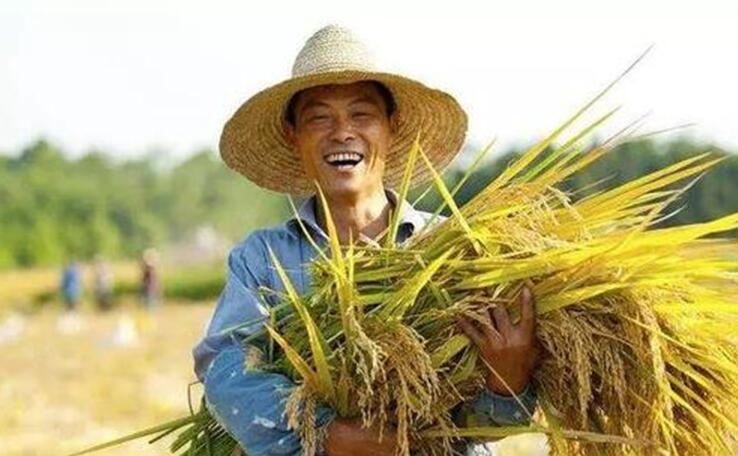 夜读丨种田的人最懂得敬畏粮食