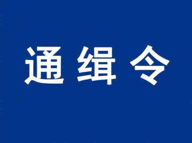 涉重大文物犯罪 公安部發(fā)布4名A級通緝令在逃人員情況