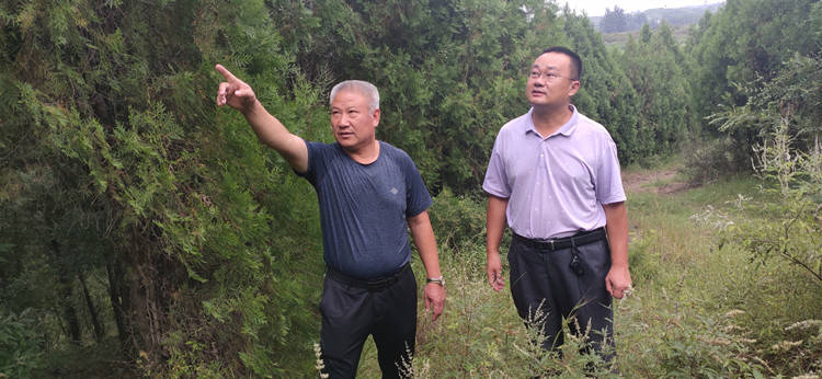 潍坊安丘创新“林长制”机制 增强绿色发展新动能