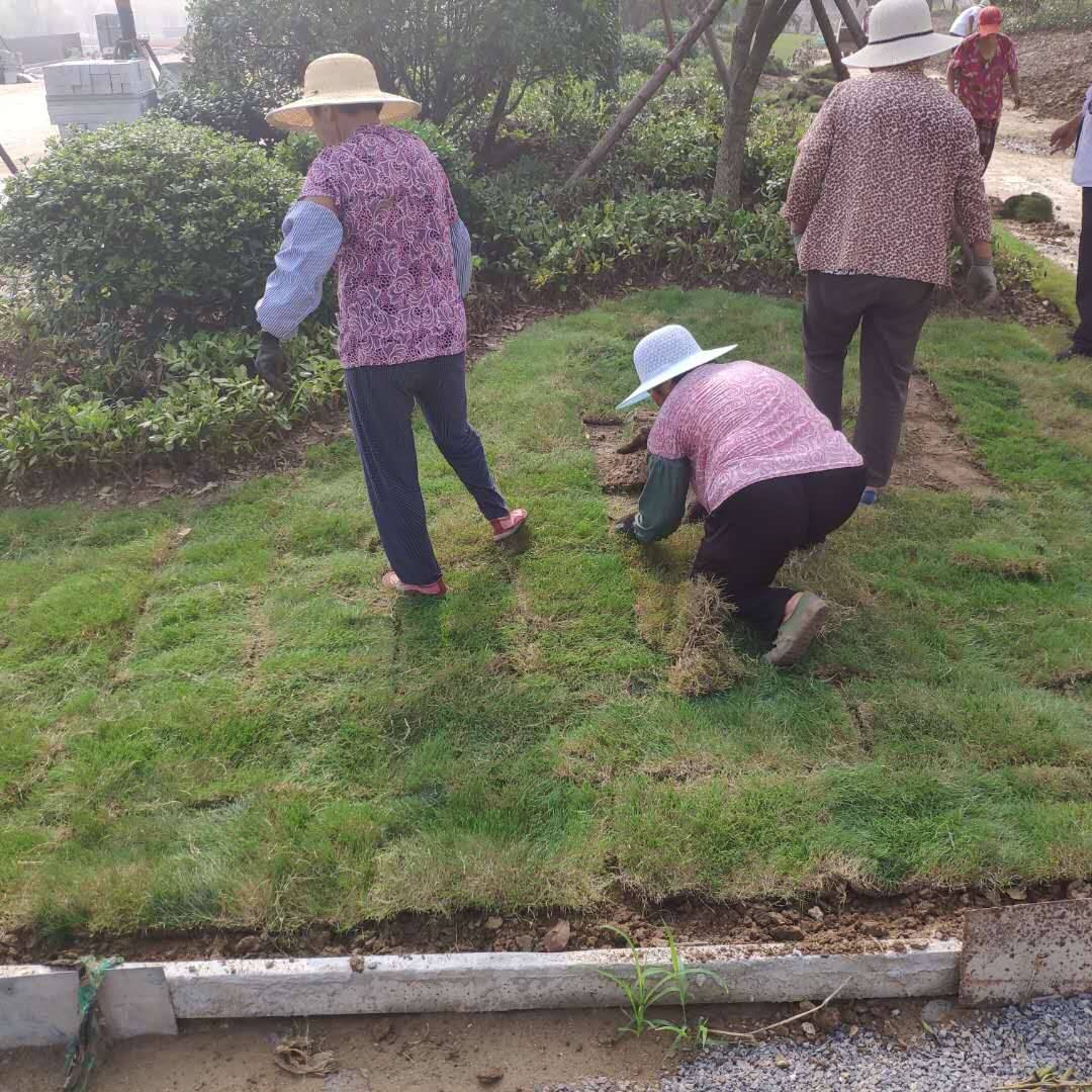 枣庄市薛城区开启秋季绿化养护模式 改善景观效果
