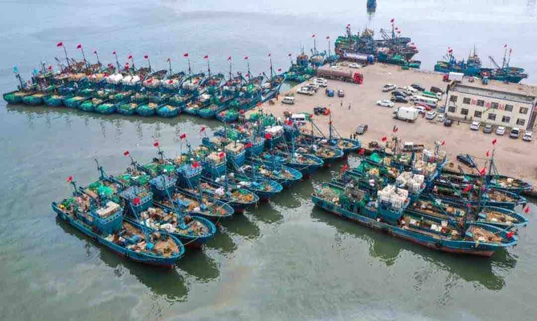 20万吨包销、海产安全联盟…京东打造豪华“套餐”助推渤海渔业振兴