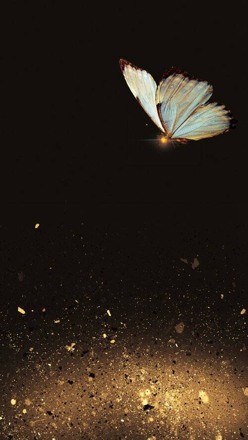 500_888竖版 竖屏