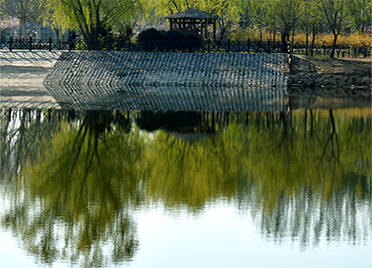 德州建成人工湿地23处 每日净化水120万吨