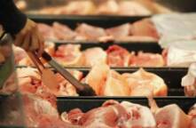 零售14.8元/斤！9月20日起济南在全市156个网点投放政府储备冻猪肉