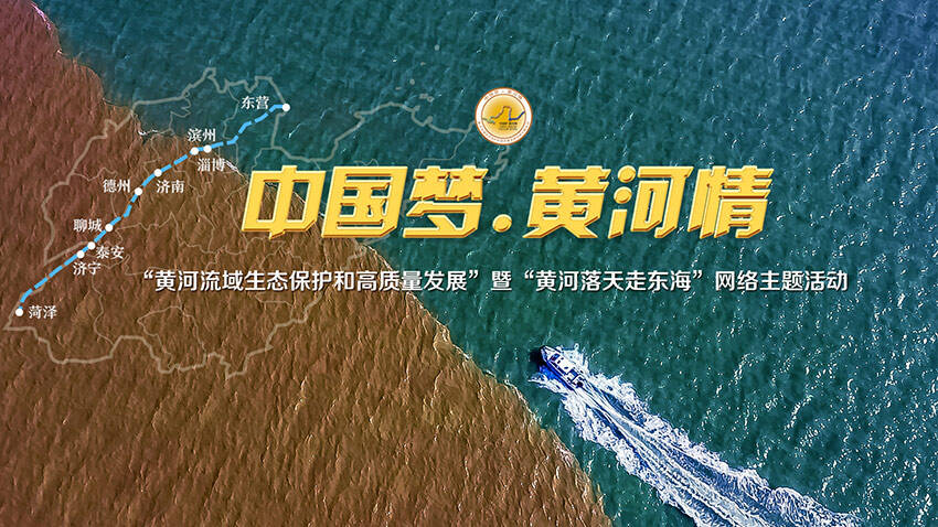 中国梦•黄河情｜150秒感受黄河流域生态保护和高质量发展