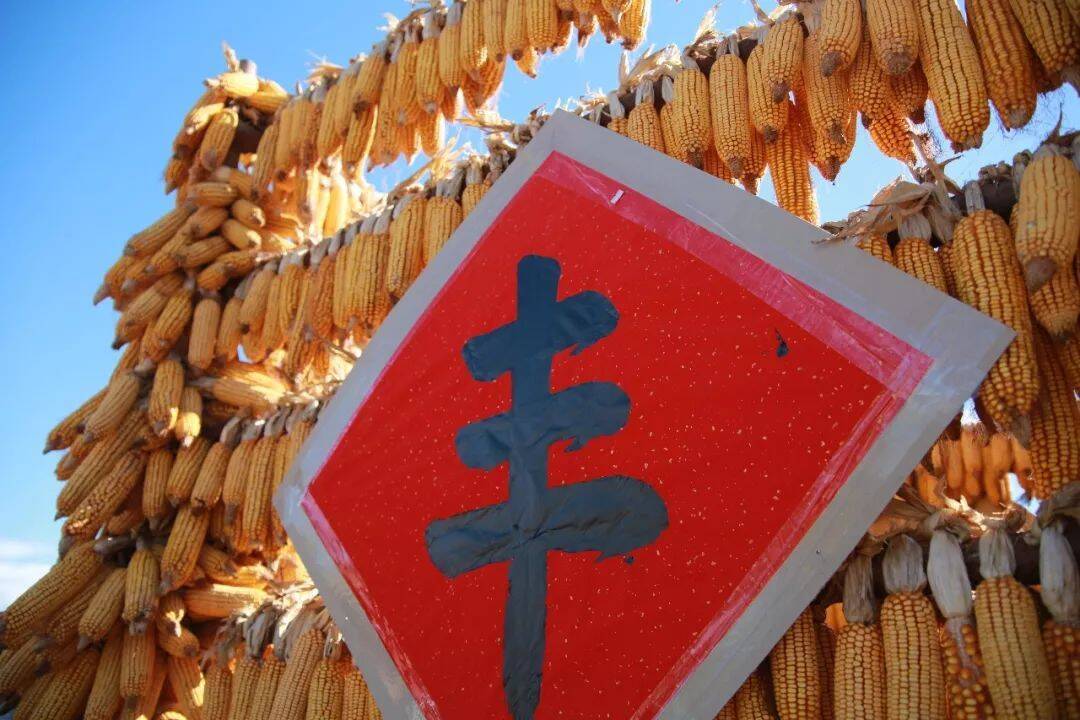 闪电评论丨办好中国农民丰收节 绘出乡村振兴时代新图