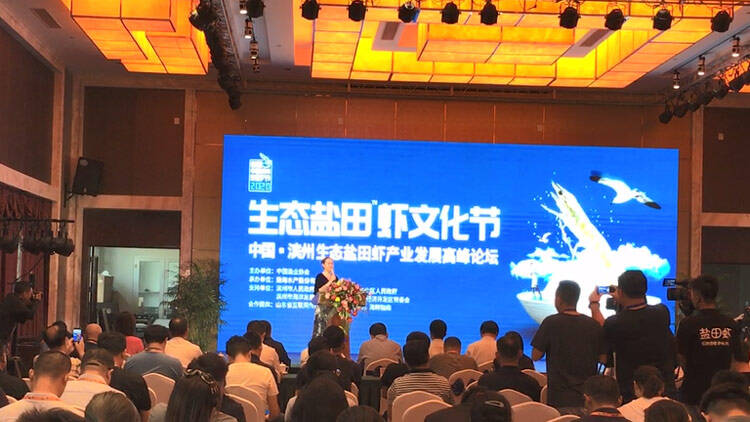 36秒丨中国(滨州)“生态盐田虾”产业发展高峰论坛成功举办