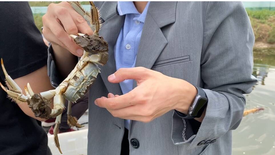 中国梦·黄河情Vlog｜鲜美！黄河口大闸蟹“爬”上餐桌，女记者体验捕捞却遇到了“意外”……