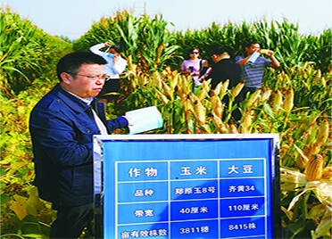 玉米大豆间作亩均增收200元 全国新农艺现场观摩暨全程机械化研讨会在禹城召开