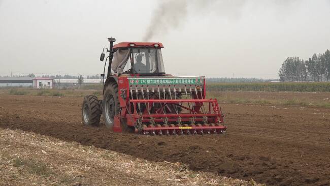 92秒丨潍坊全市小麦已播面积突破188万亩 专家为农民增产增收“支招”