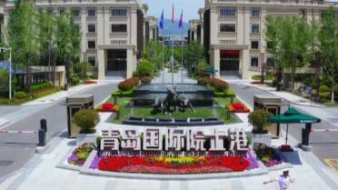 从无中生有到聚沙成塔!青岛国际院士港缘何引凤来巢?