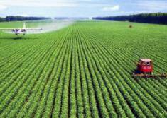 山东发文：允许农技人员为新型农业经营主体提供技术“增值服务”，可合理取酬