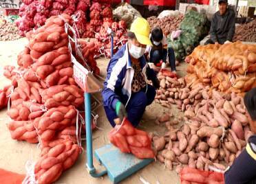 83秒丨平均1天卖出100万斤红薯！看德州这个“红薯村”的产业转型升级之路