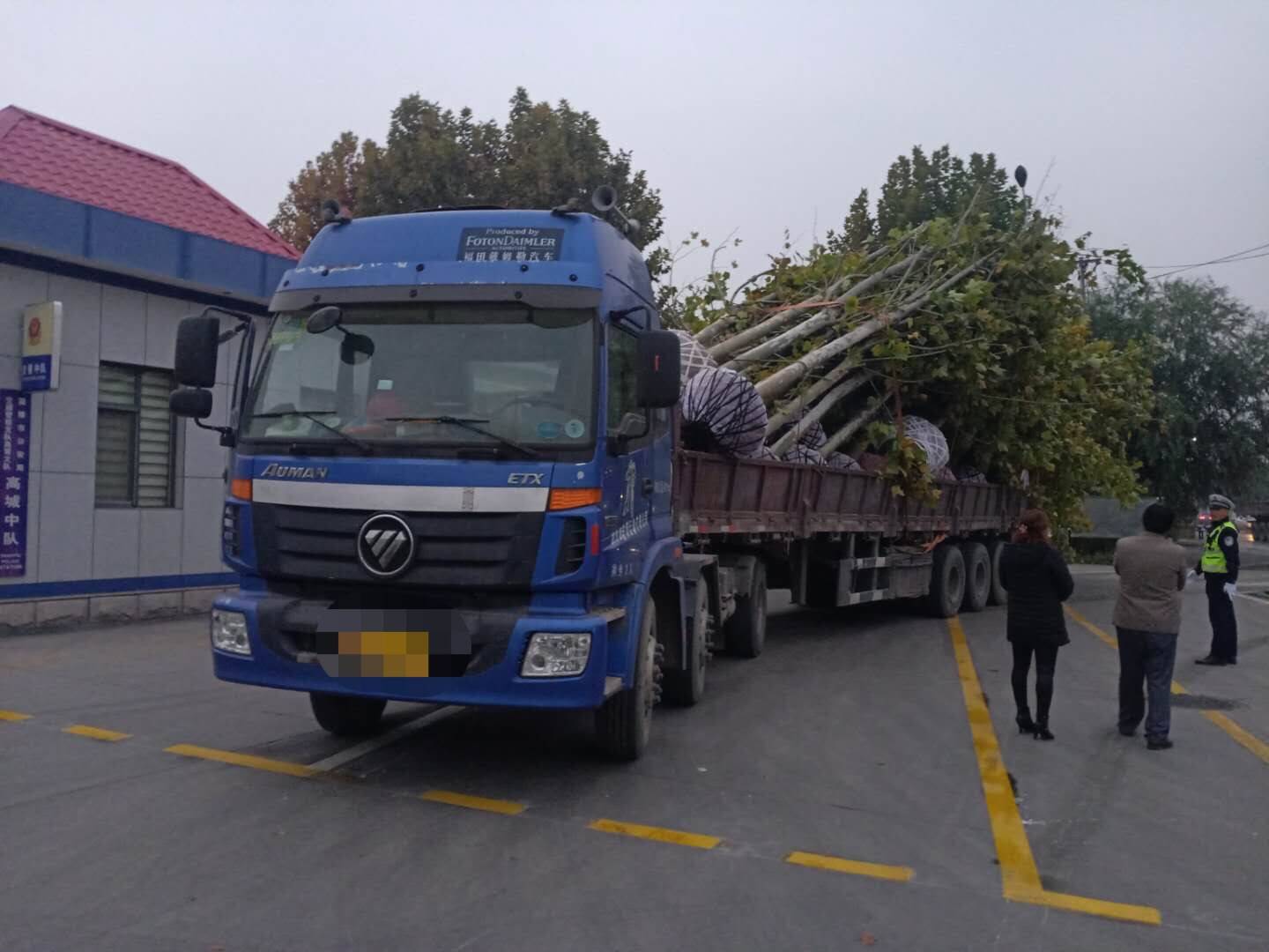 淄博：一路走一路刮 拉树大货车刮坏多处信号灯