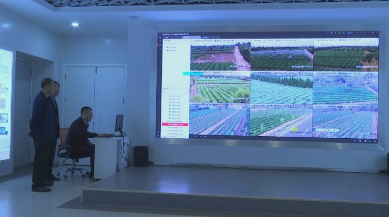 27秒丨日照打造茶产业大数据平台 1.2万亩茶园实现可视化在线监控