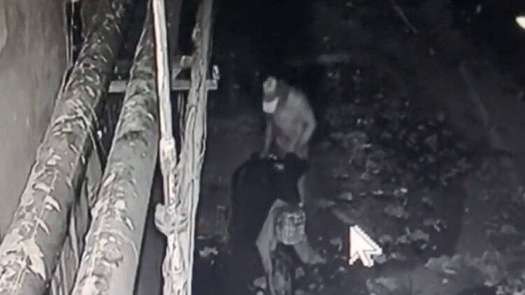 33秒丨监控曝光！滨州某小区数辆电动车电瓶消失，嫌疑人还试图撬开居民房门