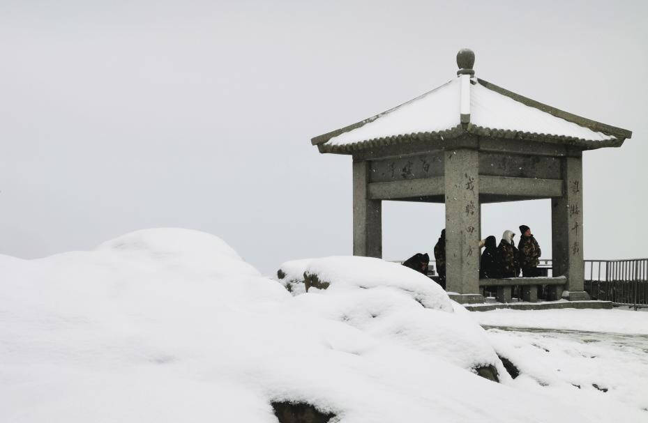 组图｜泰山今冬第一场雪，如约而至！