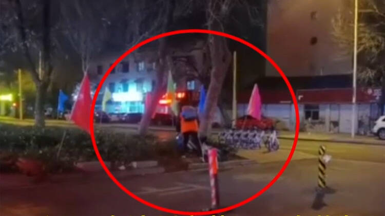 32秒丨滨州街头拍下感人一幕 男孩扶起绿化带中共享电单车
