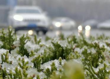 44秒｜德州今冬首场降雪来啦 市民出行请防范道路结冰