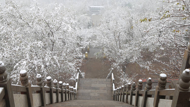 55秒丨滨州邹平这个镇初冬雪后银装素裹 美景如画