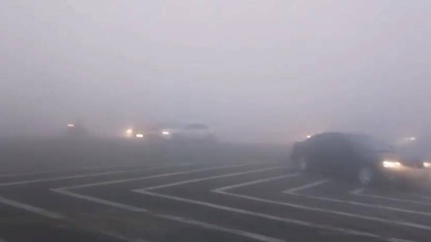 27秒丨以雾为令  滨州博兴交警坚守岗位护平安
