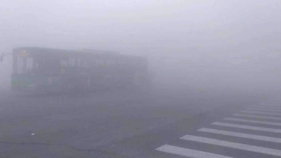 34秒丨大雾突袭！滨州今早变“仙境”，出行“雾”必小心