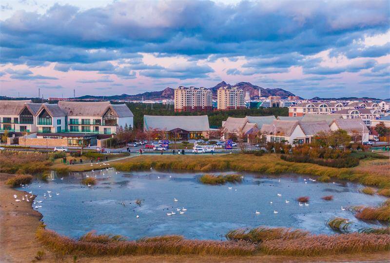 "荣成模式"全国叫响!全域旅游建设成果遍地开花_威海要闻_威海_齐鲁网