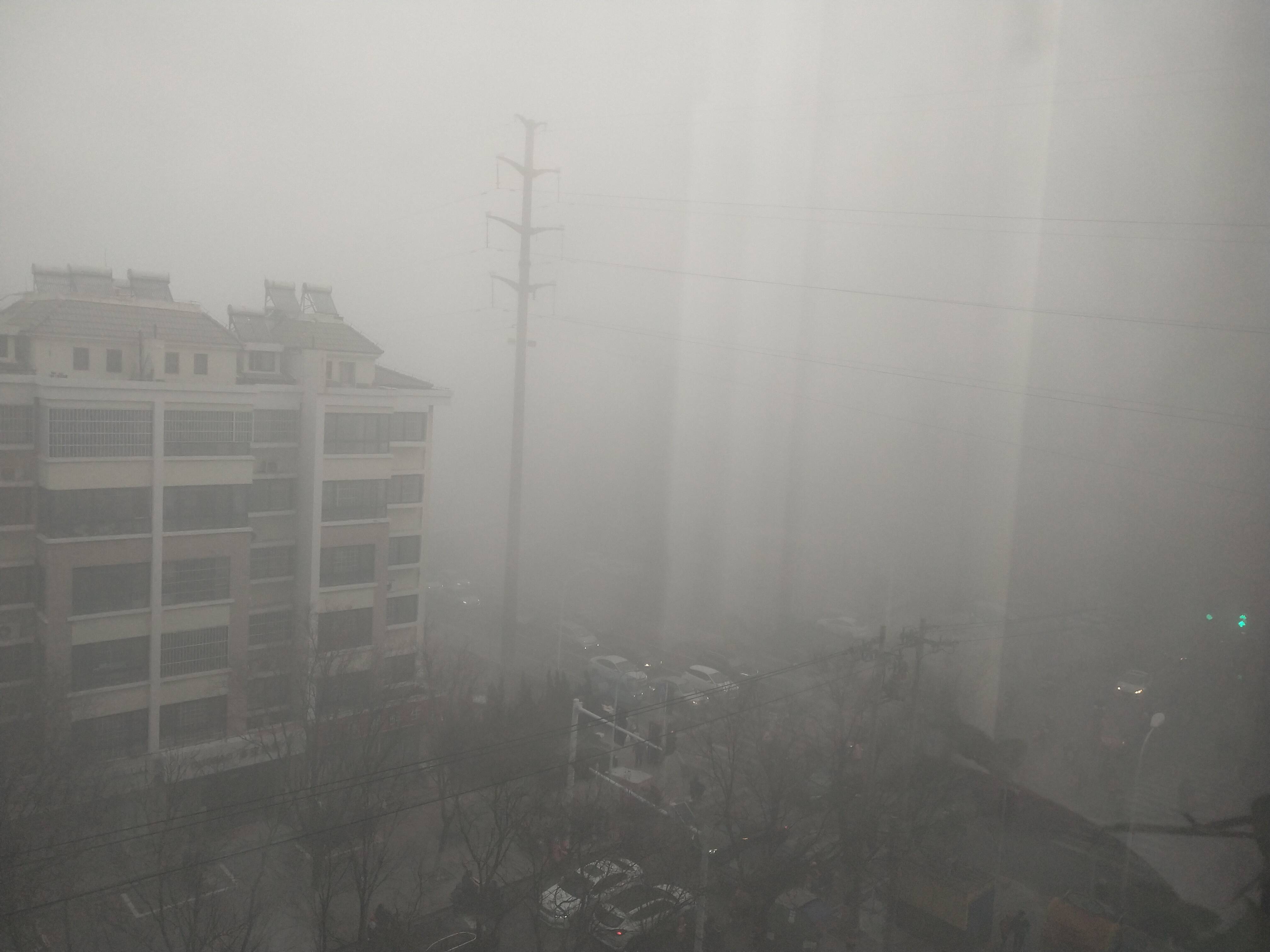 海丽气象吧｜潍坊发布大雾红色预警 部分地区已出现能见度小于50米强浓雾