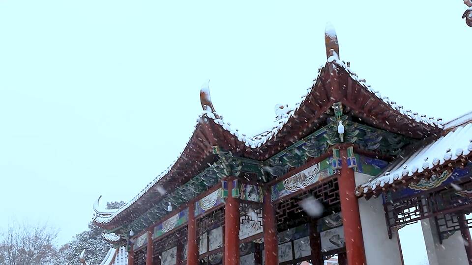 42秒丨实拍济宁今冬首场降雪 银装素裹的美怎么描述都不过份