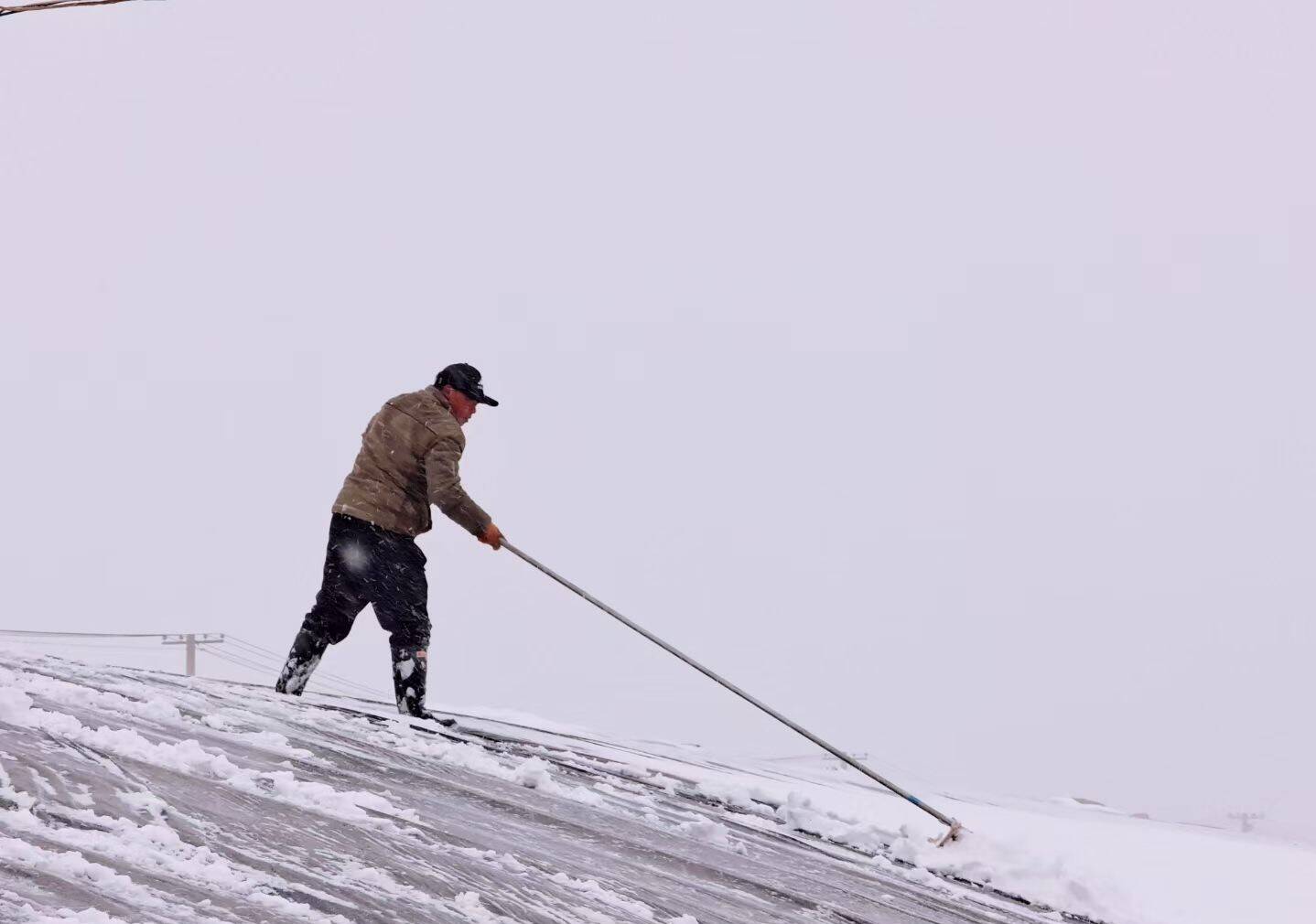 局部降雪超过10毫米！潍坊农技专家建议农户加强保温、及时清雪