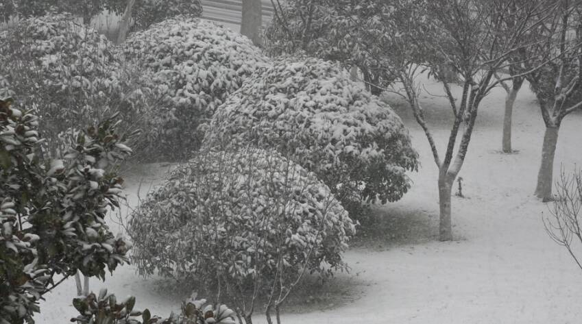 风疾雪骤，大雪袭城！33秒视频看暴雪下的枣庄