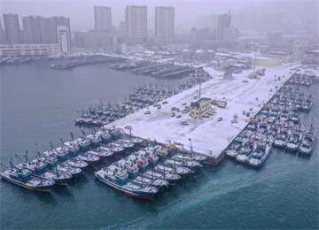 渔船进港避风雪