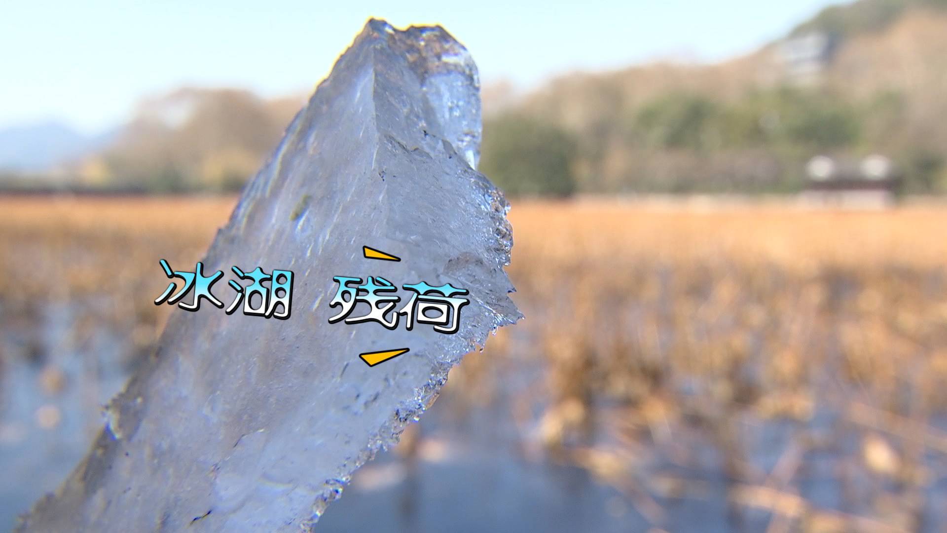 38秒丨杭州近20年最冷是有多冷？西湖都结冰了 市民：多年未见