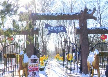 30秒丨寒潮来袭 潍坊金宝动物园“居民”花式取暖过冬