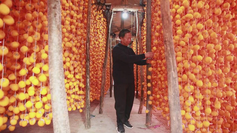 54秒 │小柿子做出大产业 潍坊临朐县隐士村2020年柿饼产值超2000万