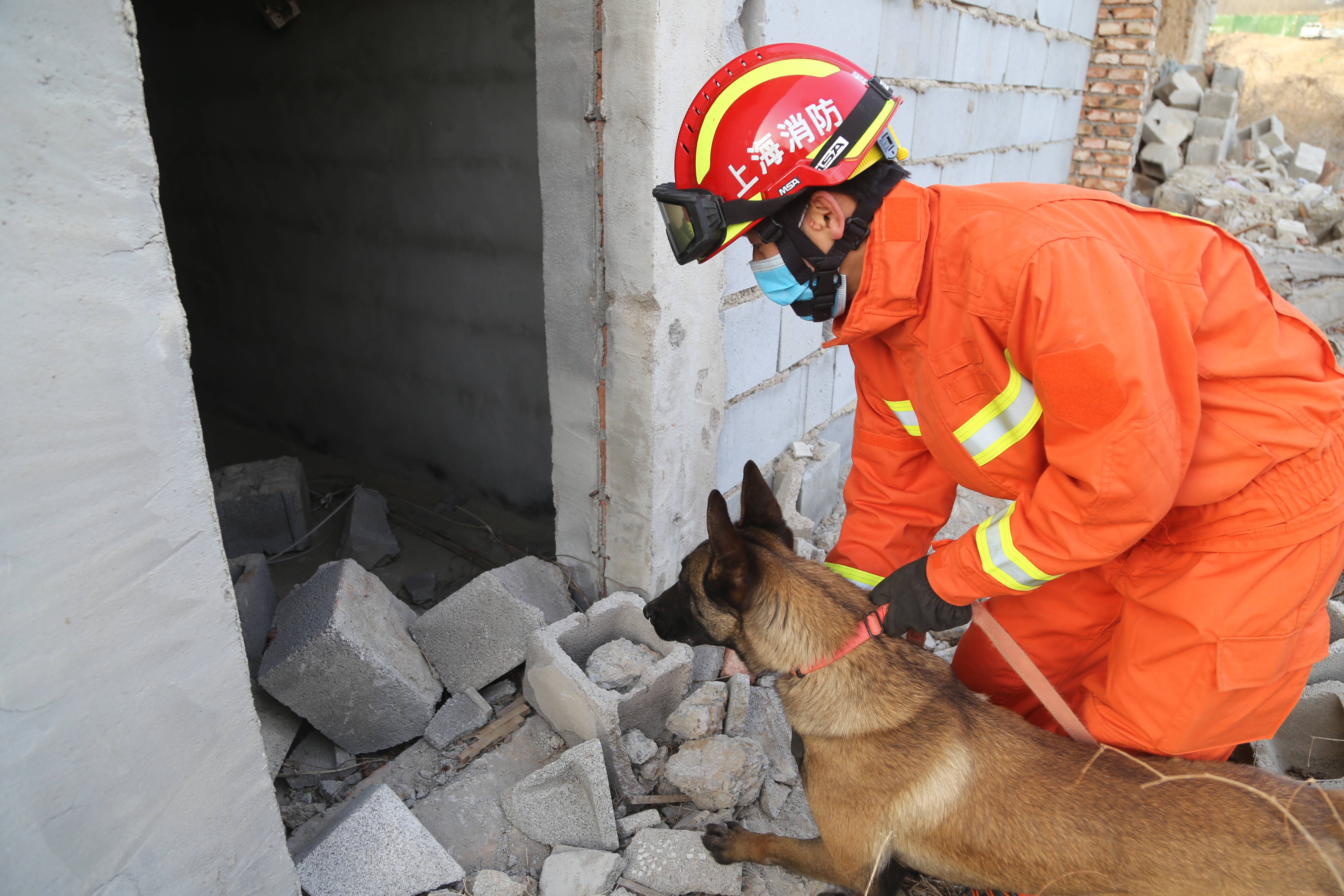 真实还原地震场地！107只搜救犬闯入废墟迅速救人