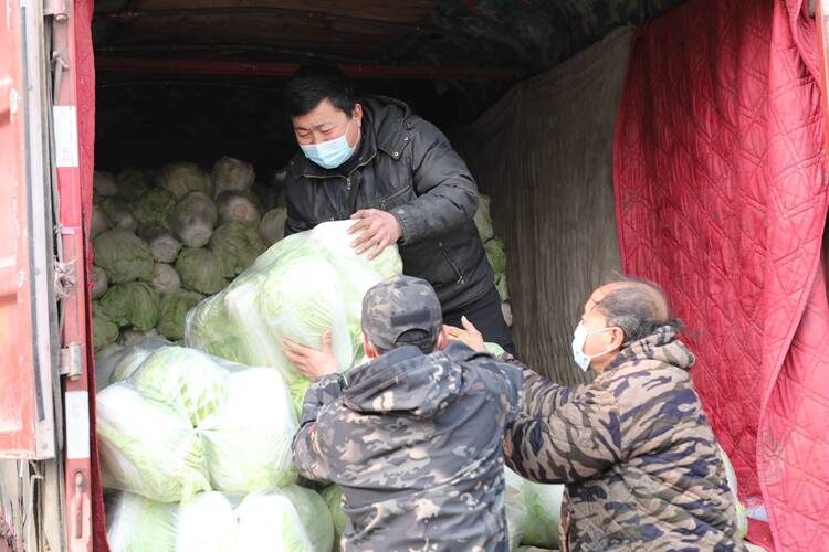 致敬！聊城退役军人向石家庄战疫一线捐赠20多吨蔬菜，爱心还在继续