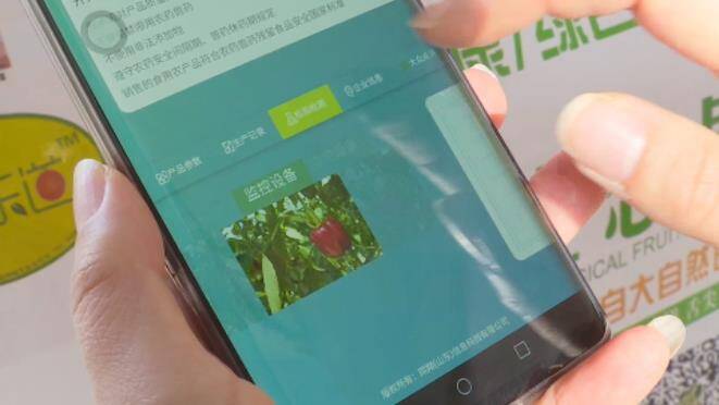 36秒丨滨州沾化区推行农产品合格证制度 严把农产品质量安全关