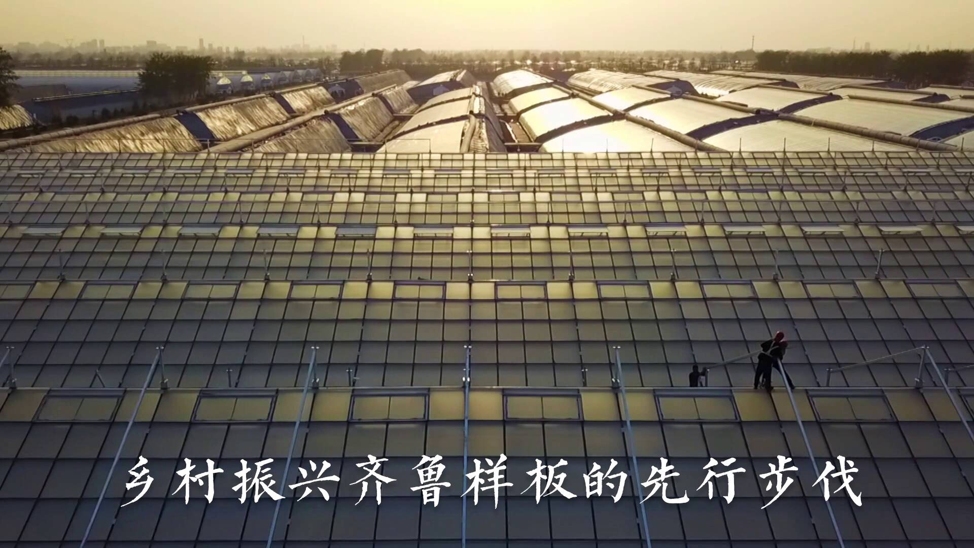 四集纪录片《蔬菜改变中国》2月2日晚在山东卫视开播