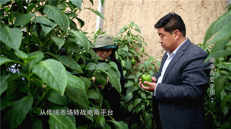 蔬菜改变中国丨风险和机遇并存！寿光“王牌”销售带领村民闯荡电商“蓝海”