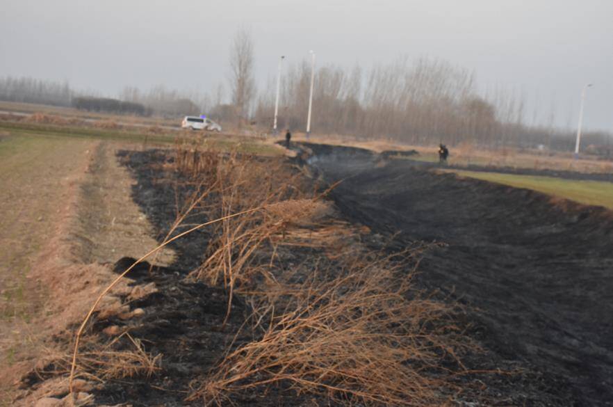 烧野火导致耕地过火面积1300余平米 滨州市高新区一村民被处罚