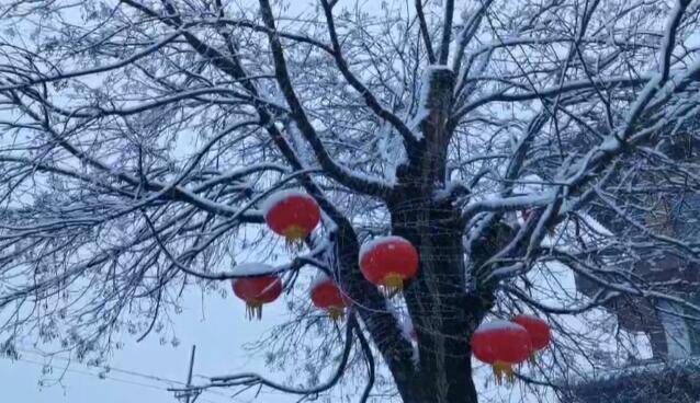 39秒｜雨雪天气来袭 临沂沂南街头红灯白雪相映成趣