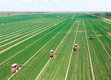 德州春耕化肥储备充足 储备规模占全省30%